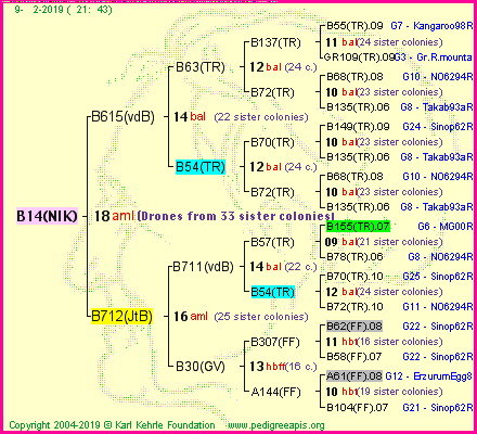 Pedigree of B14(NIK) :
four generations presented<br />it's temporarily unavailable, sorry!