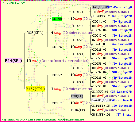 Pedigree of B14(SPL) :
four generations presented<br />it's temporarily unavailable, sorry!