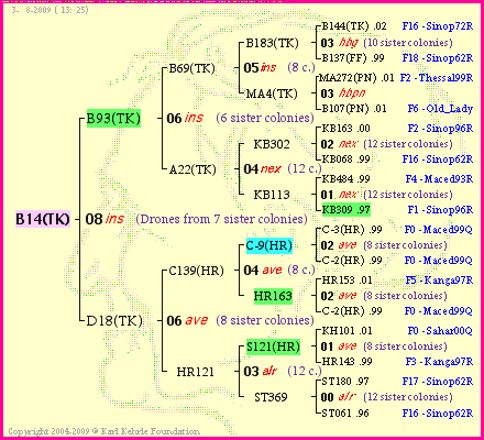 Pedigree of B14(TK) :
four generations presented