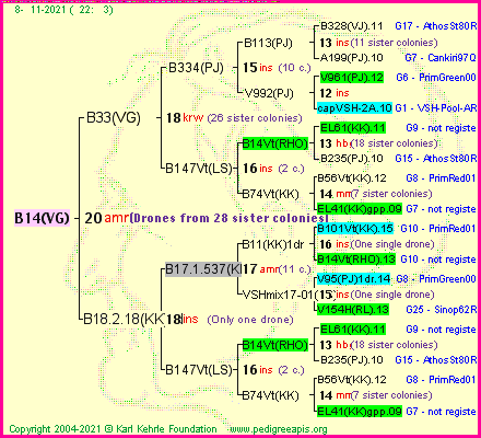 Pedigree of B14(VG) :
four generations presented
it's temporarily unavailable, sorry!