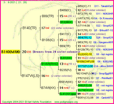 Pedigree of B140(MAN) :
four generations presented
it's temporarily unavailable, sorry!