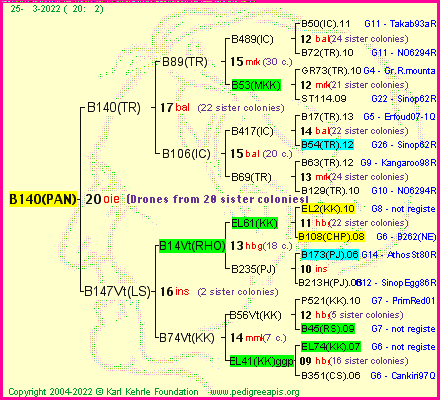 Pedigree of B140(PAN) :
four generations presented
it's temporarily unavailable, sorry!