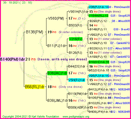 Pedigree of B140(PM)1dr :
four generations presented
it's temporarily unavailable, sorry!