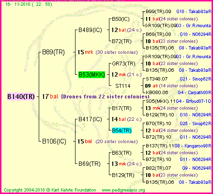 Pedigree of B140(TR) :
four generations presented
it's temporarily unavailable, sorry!