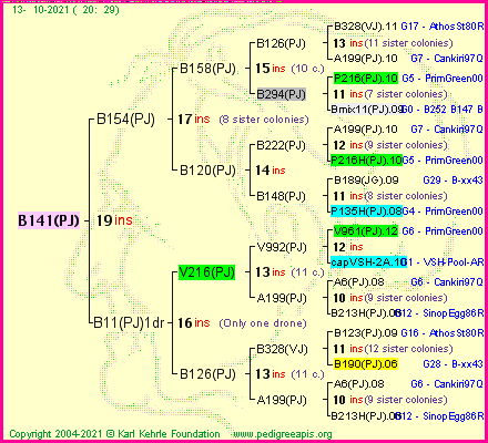 Pedigree of B141(PJ) :
four generations presented
it's temporarily unavailable, sorry!