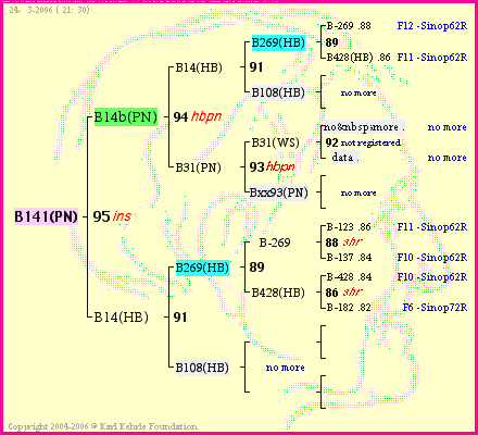 Pedigree of B141(PN) :
four generations presented