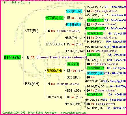 Pedigree of B141(VG) :
four generations presented
it's temporarily unavailable, sorry!