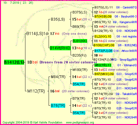 Pedigree of B1412(LS) :
four generations presented
it's temporarily unavailable, sorry!