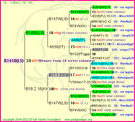 Pedigree of B1418(LS) :
four generations presented
it's temporarily unavailable, sorry!