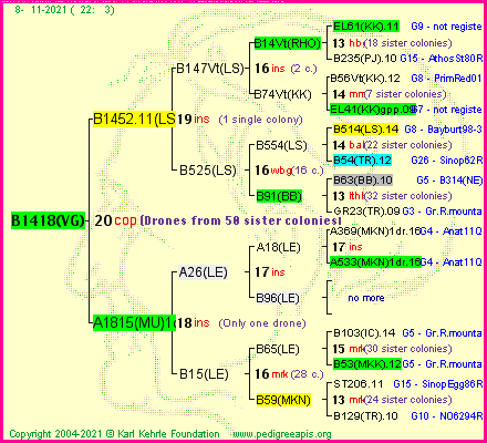 Pedigree of B1418(VG) :
four generations presented
it's temporarily unavailable, sorry!