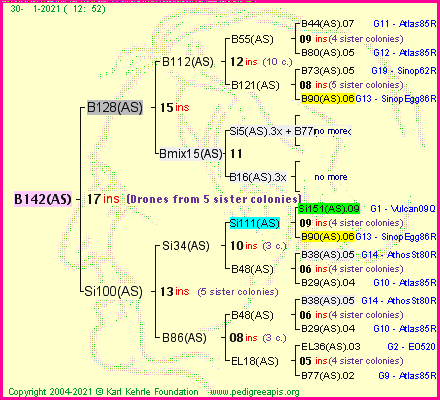 Pedigree of B142(AS) :
four generations presented
it's temporarily unavailable, sorry!