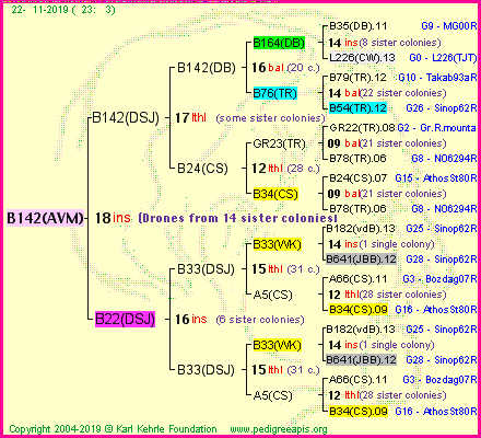 Pedigree of B142(AVM) :
four generations presented<br />it's temporarily unavailable, sorry!