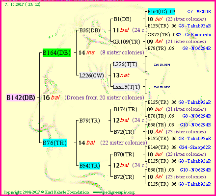 Pedigree of B142(DB) :
four generations presented<br />it's temporarily unavailable, sorry!