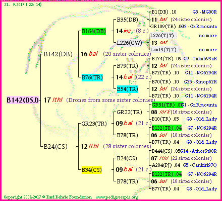 Pedigree of B142(DSJ) :
four generations presented
it's temporarily unavailable, sorry!