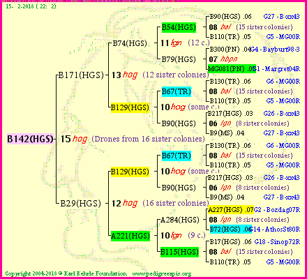 Pedigree of B142(HGS) :
four generations presented