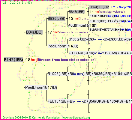 Pedigree of B142(JBB) :
four generations presented
it's temporarily unavailable, sorry!