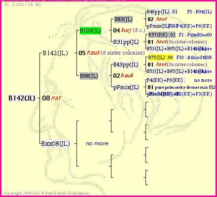 Pedigree of B142(JL) :
four generations presented