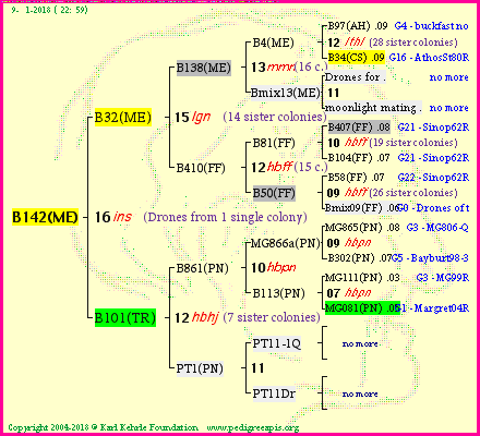 Pedigree of B142(ME) :
four generations presented