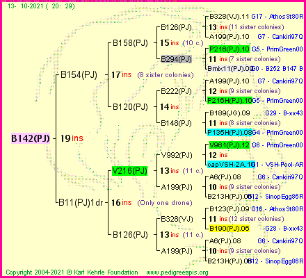 Pedigree of B142(PJ) :
four generations presented
it's temporarily unavailable, sorry!