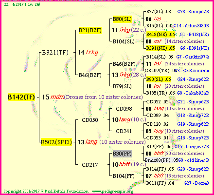 Pedigree of B142(TF) :
four generations presented<br />it's temporarily unavailable, sorry!