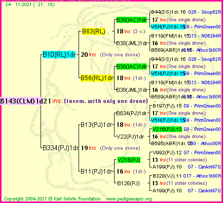 Pedigree of B143(CLM)1dr :
four generations presented
it's temporarily unavailable, sorry!