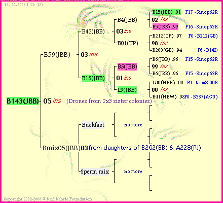 Pedigree of B143(JBB) :
four generations presented