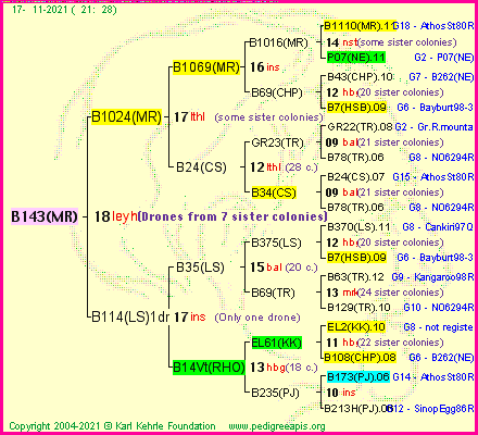 Pedigree of B143(MR) :
four generations presented
it's temporarily unavailable, sorry!