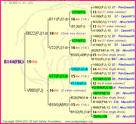 Pedigree of B144(FBL) :
four generations presented
it's temporarily unavailable, sorry!