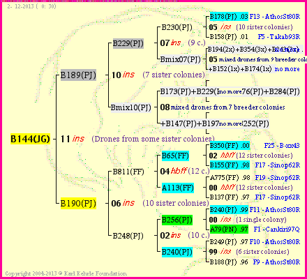 Pedigree of B144(JG) :
four generations presented