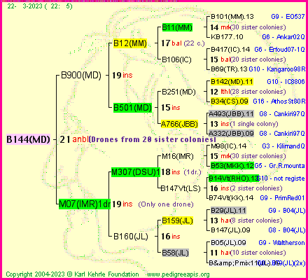 Pedigree of B144(MD) :
four generations presented
it's temporarily unavailable, sorry!