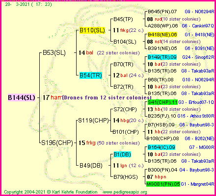 Pedigree of B144(SL) :
four generations presented
it's temporarily unavailable, sorry!