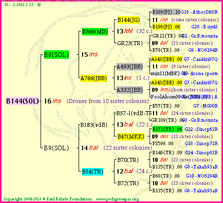 Pedigree of B144(SOL) :
four generations presented<br />it's temporarily unavailable, sorry!