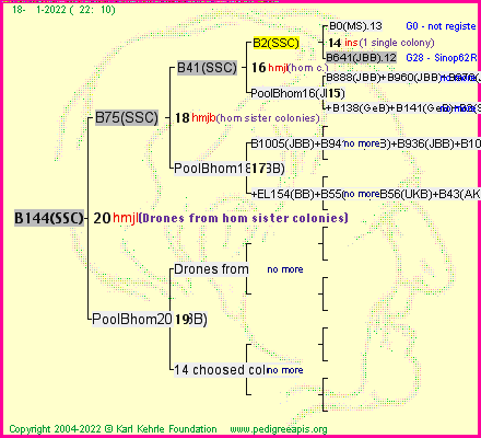 Pedigree of B144(SSC) :
four generations presented
it's temporarily unavailable, sorry!