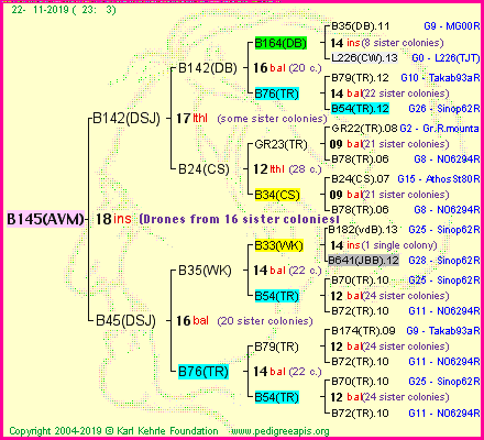 Pedigree of B145(AVM) :
four generations presented
it's temporarily unavailable, sorry!