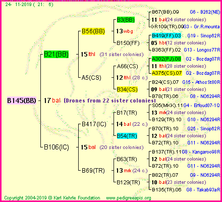 Pedigree of B145(BB) :
four generations presented<br />it's temporarily unavailable, sorry!