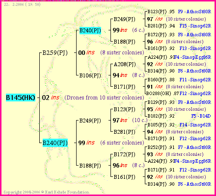 Pedigree of B145(HK) :
four generations presented