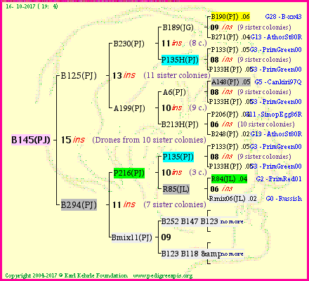 Pedigree of B145(PJ) :
four generations presented<br />it's temporarily unavailable, sorry!