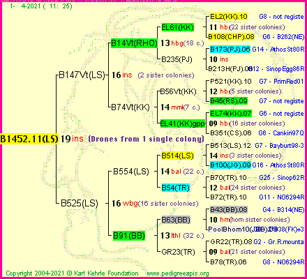 Pedigree of B1452.11(LS) :
four generations presented
it's temporarily unavailable, sorry!