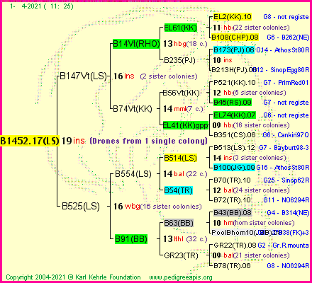 Pedigree of B1452.17(LS) :
four generations presented
it's temporarily unavailable, sorry!