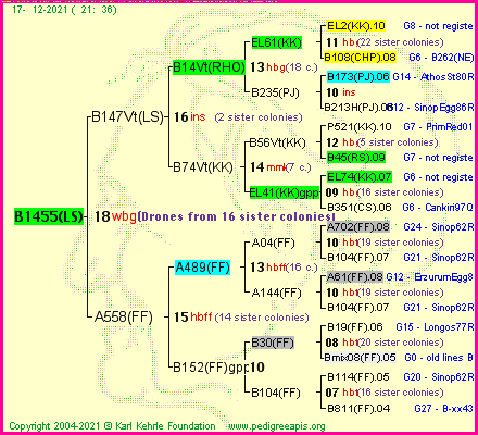 Pedigree of B1455(LS) :
four generations presented
it's temporarily unavailable, sorry!