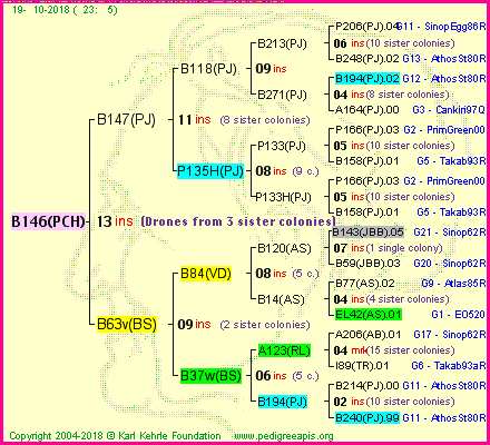 Pedigree of B146(PCH) :
four generations presented<br />it's temporarily unavailable, sorry!