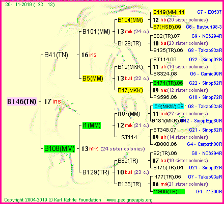 Pedigree of B146(TN) :
four generations presented<br />it's temporarily unavailable, sorry!