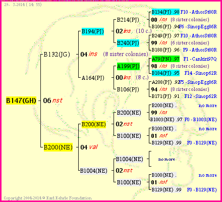 Pedigree of B147(GH) :
four generations presented