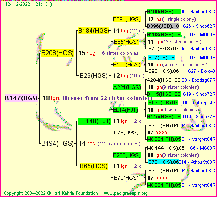 Pedigree of B147(HGS) :
four generations presented
it's temporarily unavailable, sorry!