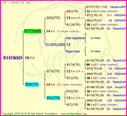 Pedigree of B147(KKI) :
four generations presented<br />it's temporarily unavailable, sorry!