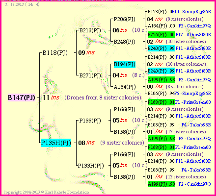 Pedigree of B147(PJ) :
four generations presented