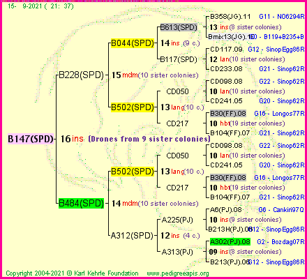 Pedigree of B147(SPD) :
four generations presented
it's temporarily unavailable, sorry!