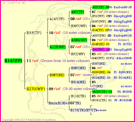 Pedigree of B147(TP) :
four generations presented