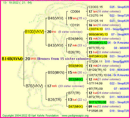 Pedigree of B148(AVM) :
four generations presented
it's temporarily unavailable, sorry!