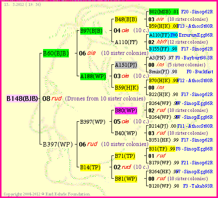 Pedigree of B148(BJB) :
four generations presented